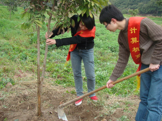 c2eef53d-6394-4580-b984-021180f6a530.jpg