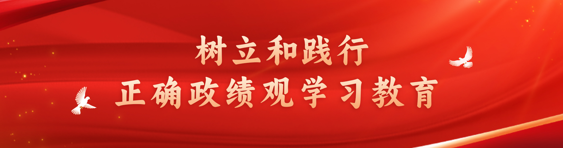 树立和践行正确政绩观学习教育